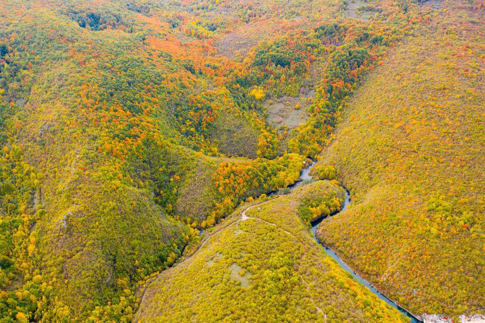 Pecka in autumn — North-west Bosnia's forests turning gold above the Sana river.