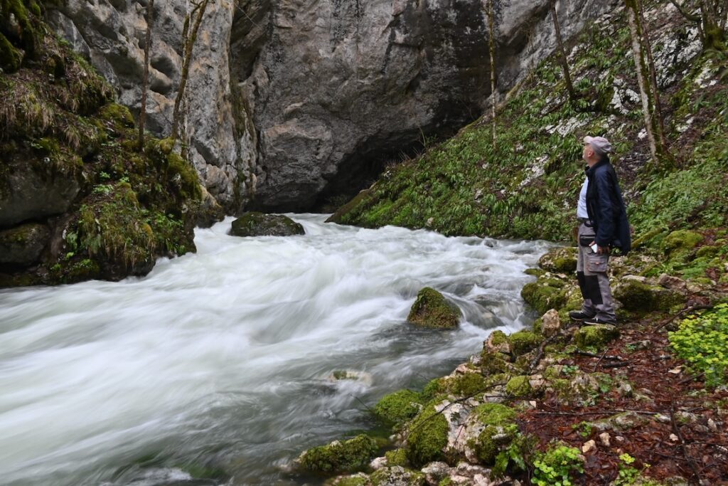 Vrelo Sane — The emerald source of the Sana river near Pecka.